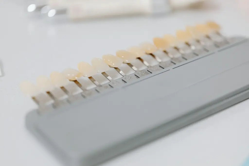 Dental Veneers — dental care in Sainte-Julie