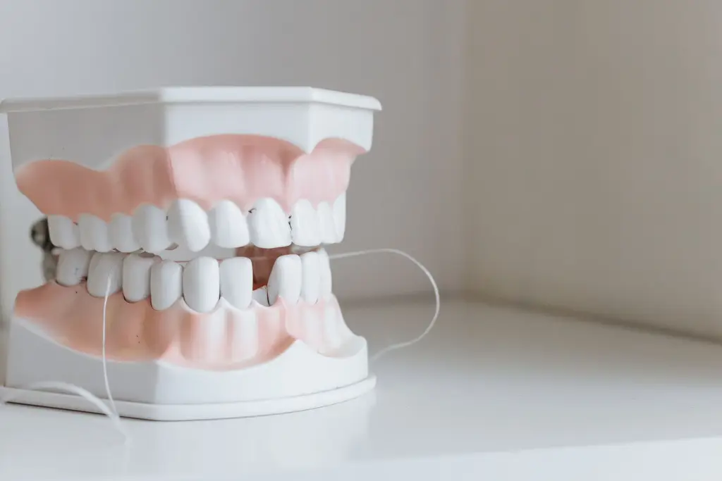 Gingivitis and Periodontitis — dental care in Sainte-Julie